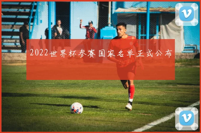 2022世界杯参赛国家名单正式公布