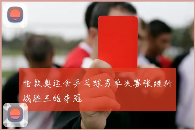 伦敦奥运会乒乓球男单决赛张继科战胜王皓夺冠