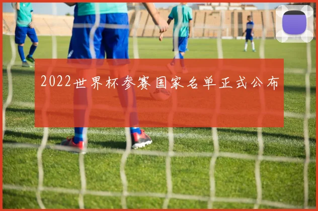 2022世界杯参赛国家名单正式公布