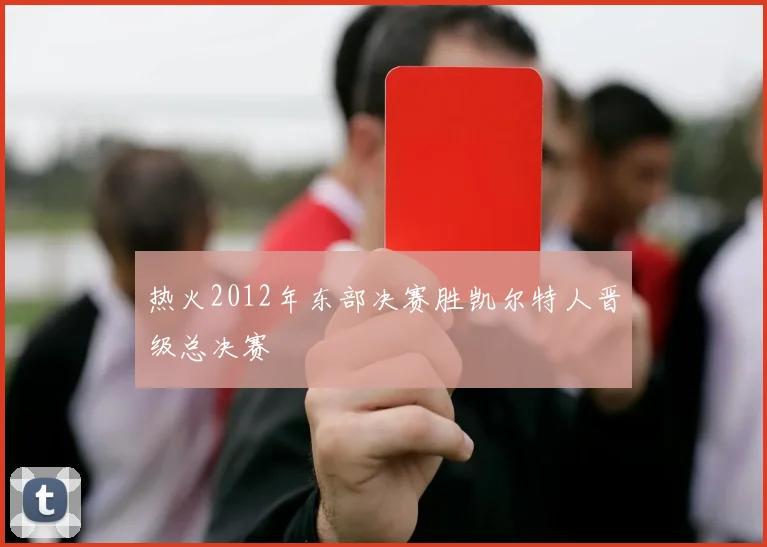热火2012年东部决赛胜凯尔特人晋级总决赛